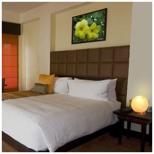 4093 Ozone sólámpa E14 15W ~2 kg